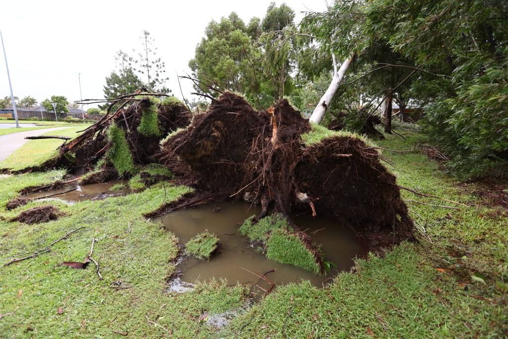 Cyclone Alfred