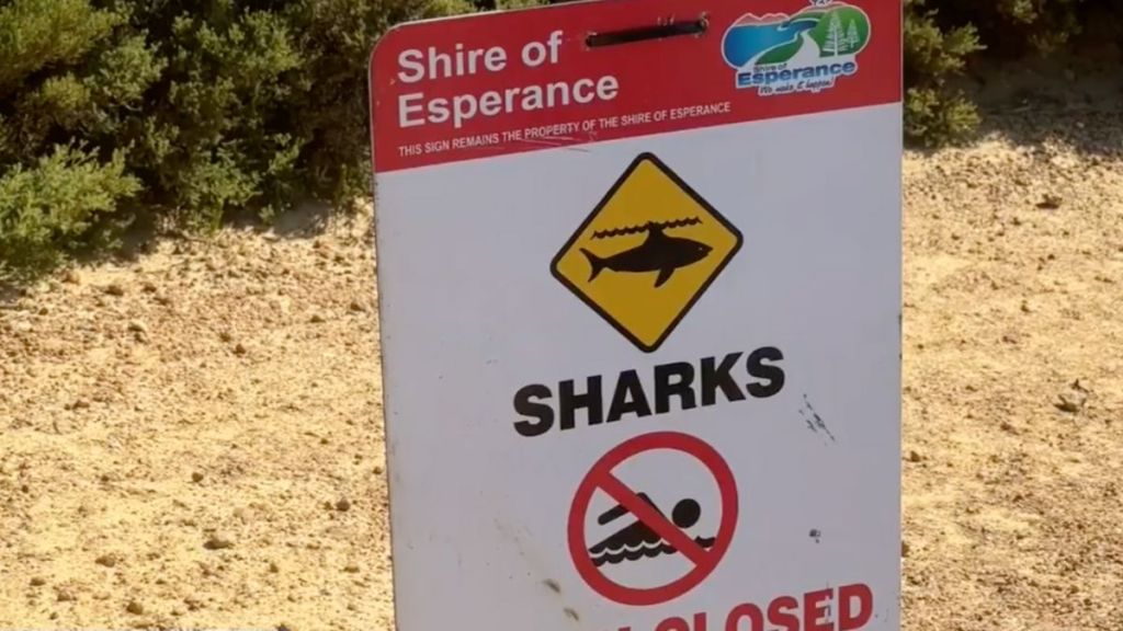 shark attack WA