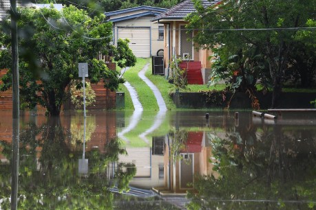 Cyclone clean-up starts as flooding, rainfall ease