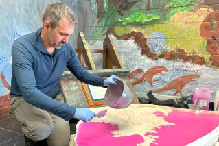 Dinosaur secret unearthed after hiding in plain sight