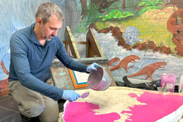 Dinosaur secret unearthed after hiding in plain sight