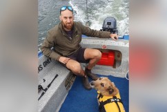 Search over for 'gentle giant' shark victim 