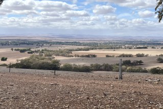 'Dry as a bone': Water runs out for some in SA