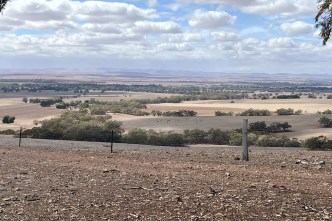 'Dry as a bone': Water runs out for some in SA