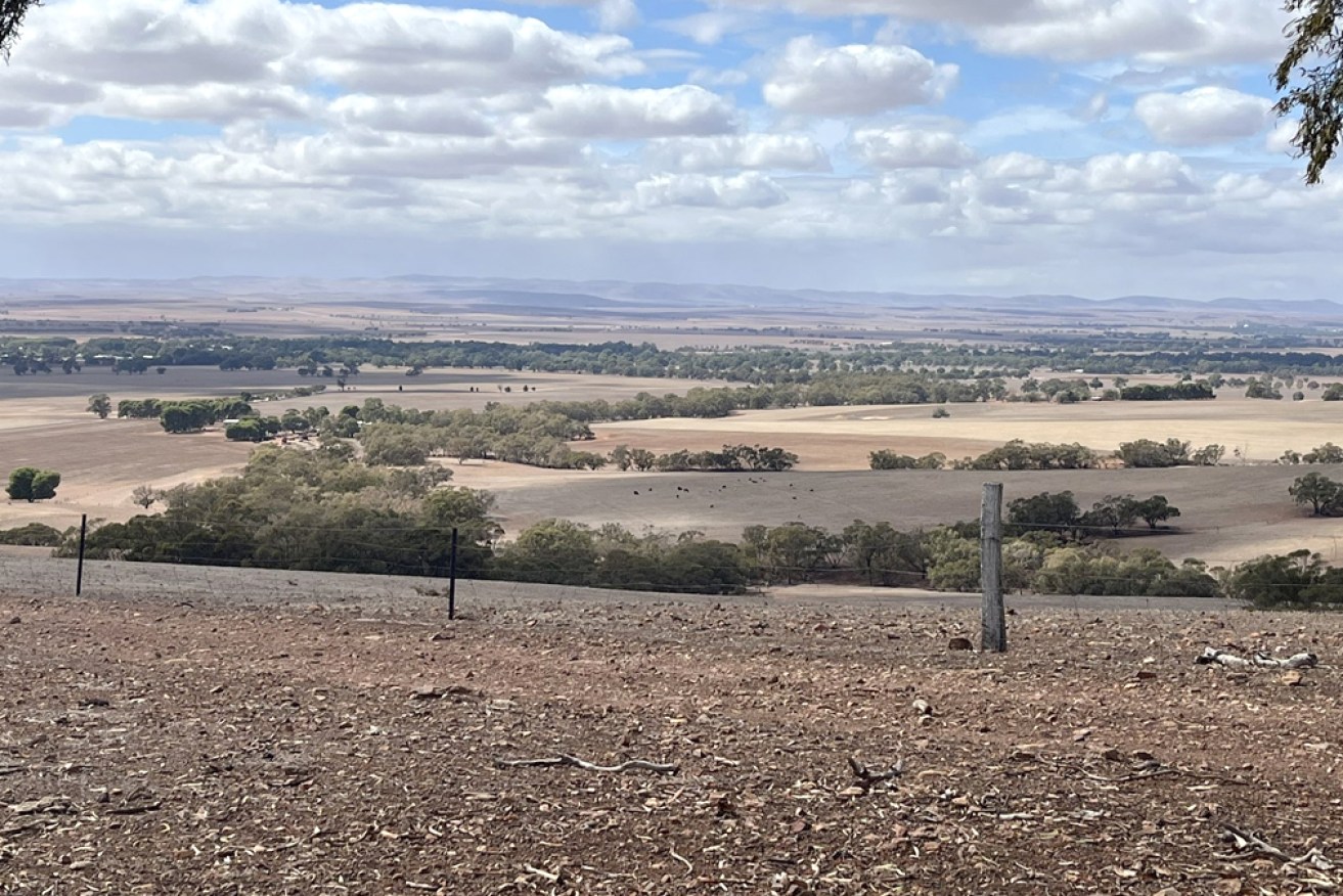 A recent shot from Laura, in SA's mid-north.