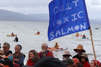 RSPCA pulls salmon farm tick after mass deaths
