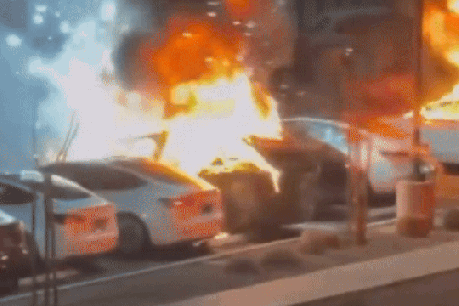 'Insane': Musk fumes at fiery Tesla attack