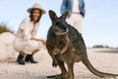 Why the world is falling in love with South Australia