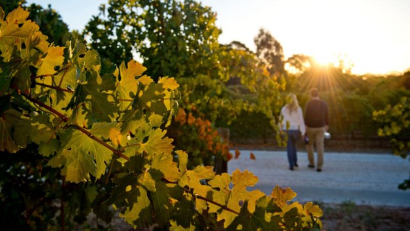 south australia travel