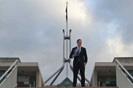 Labor lays election groundwork in budget 