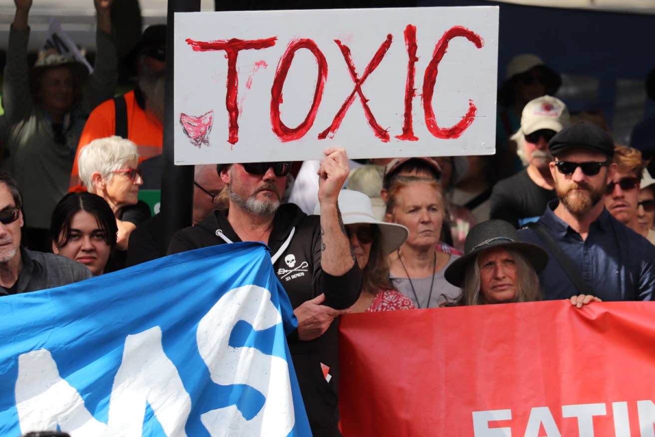 Activists say the federal government is pushing environment law changes to woo Tasmanian voters.