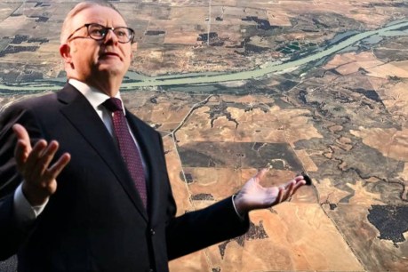Budget fails voters who want environment action