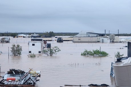 Qld town evacuated as floodwaters rise
