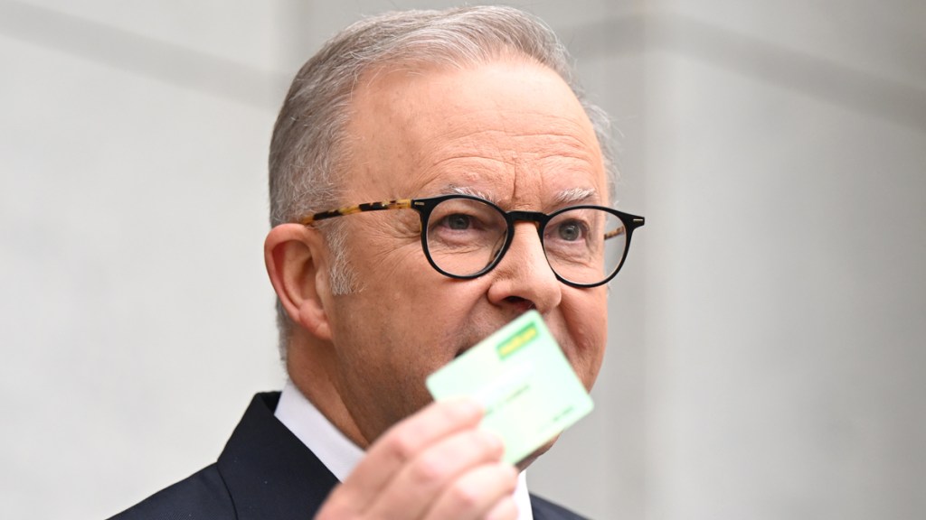 albanese federal election