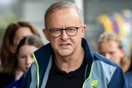 Polls tilt to Labor as campaign ramps up