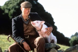 <i>Babe</i> at 30: Why this Aussie film is still a classic