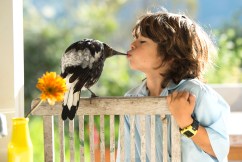 Aussies embrace 'nerdy' hobby as top bird revealed