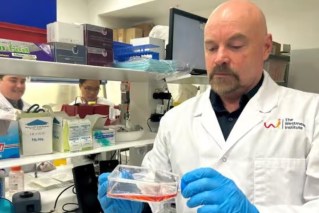 'Cure diabetes': Australia on brink of breakthrough