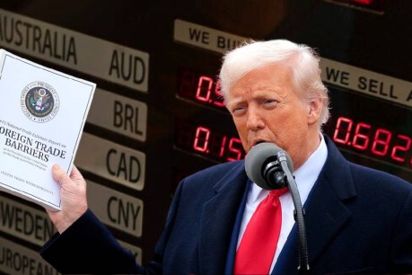 Americans take brunt of Trump tariffs: Modelling