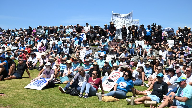 renewable energy opposition