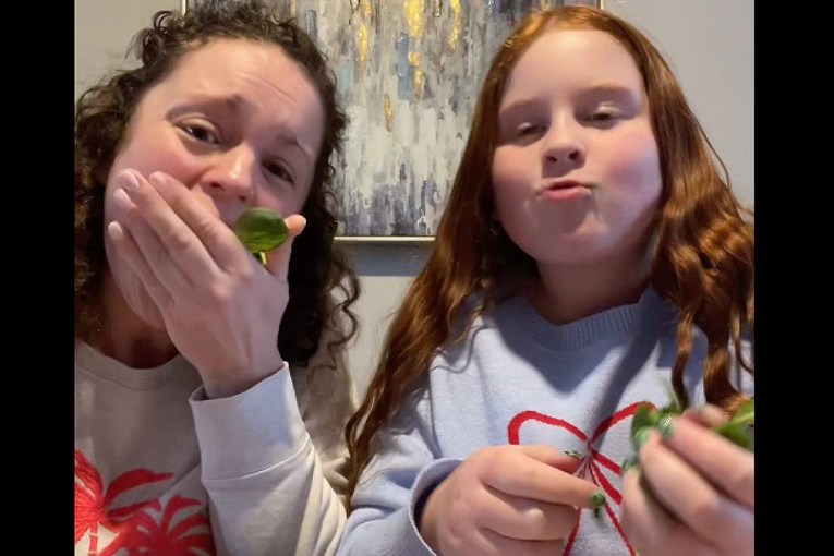 Dinosaur Time: Finally a TikTok trend to follow