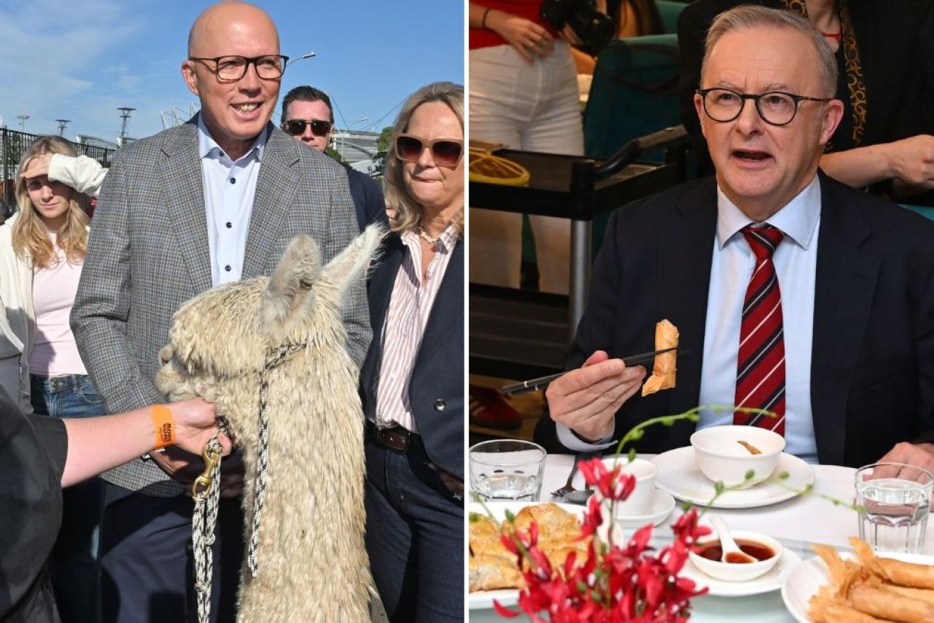 Peter Dutton and Anthony Albanese are running out of time to sell their pitches as early voting opens.