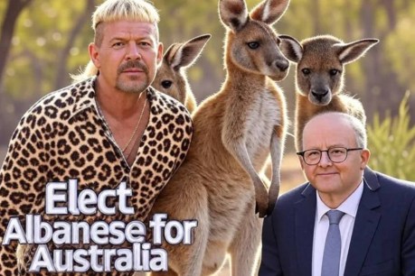 Influenced: Tiger King for Albo, ‘brain rot’ and the influencer debate