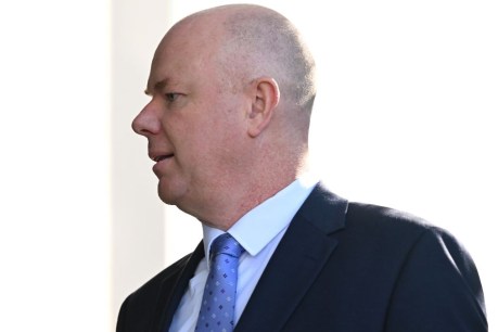 Mushroom cook's husband gives evidence 