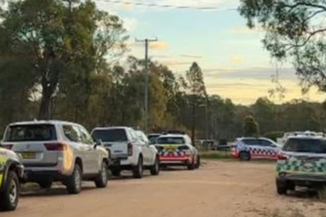 Police treat deaths of two young boys as double murder