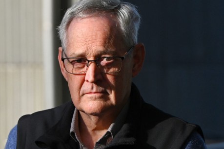 Sole mushroom lunch survivor speaks out