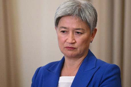 Wong slams Greens' tactics as Bandt fights for seat 
