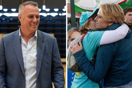 Liberals reclaim seat of Goldstein from teal