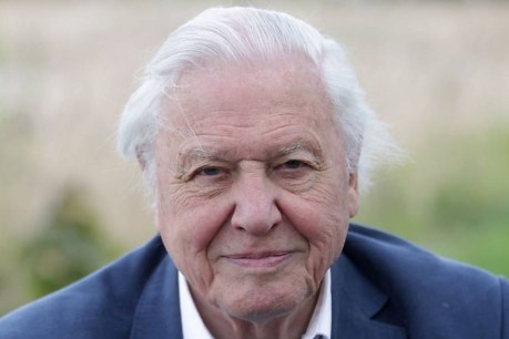Attenborough enters 100th year with plea our futures