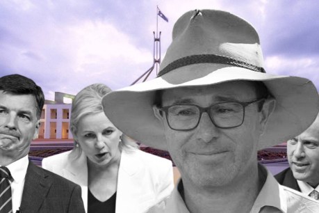 While the Liberals haemorrhaged, the Nationals held their own. Is it time to break up the Coalition?