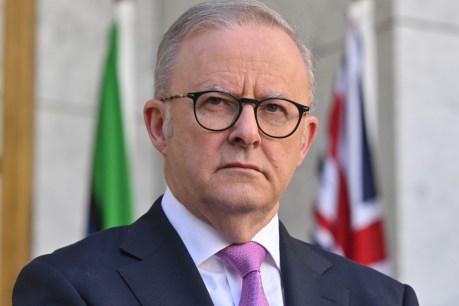 'A bit rich': PM lashes Greens as leader booted 