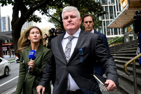 Ex-cricketer Stuart MacGill spared jail over coke deal