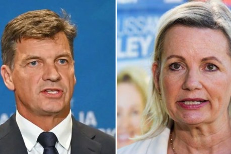 Duel to decide future Liberal leader
