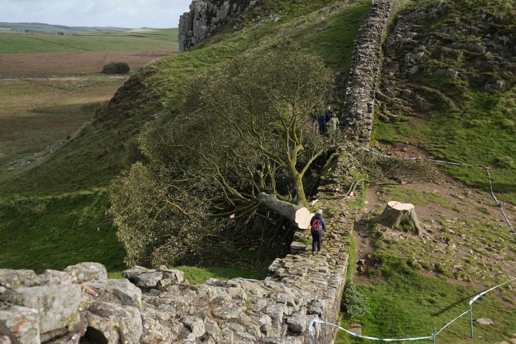 Sycamore Gap