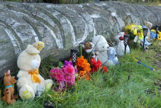 Grandmother charged with alleged double murder