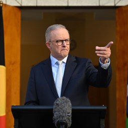 Winners and losers in Albanese's new ministry