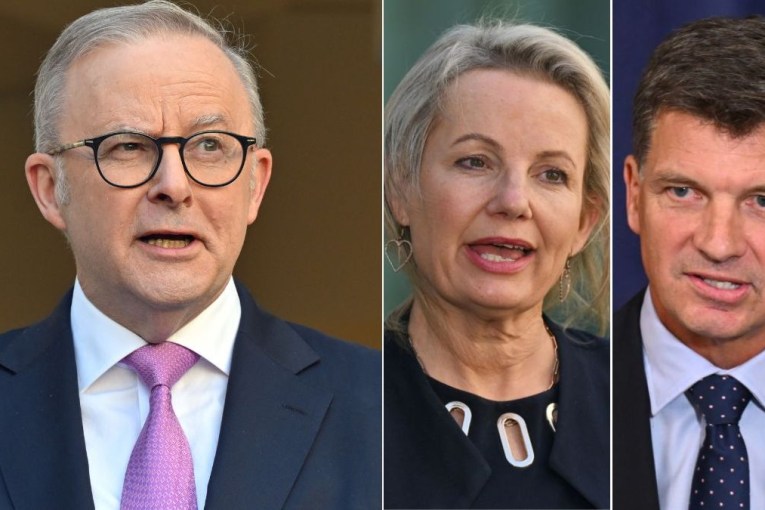 Two Liberals face off in tight leadership contest
