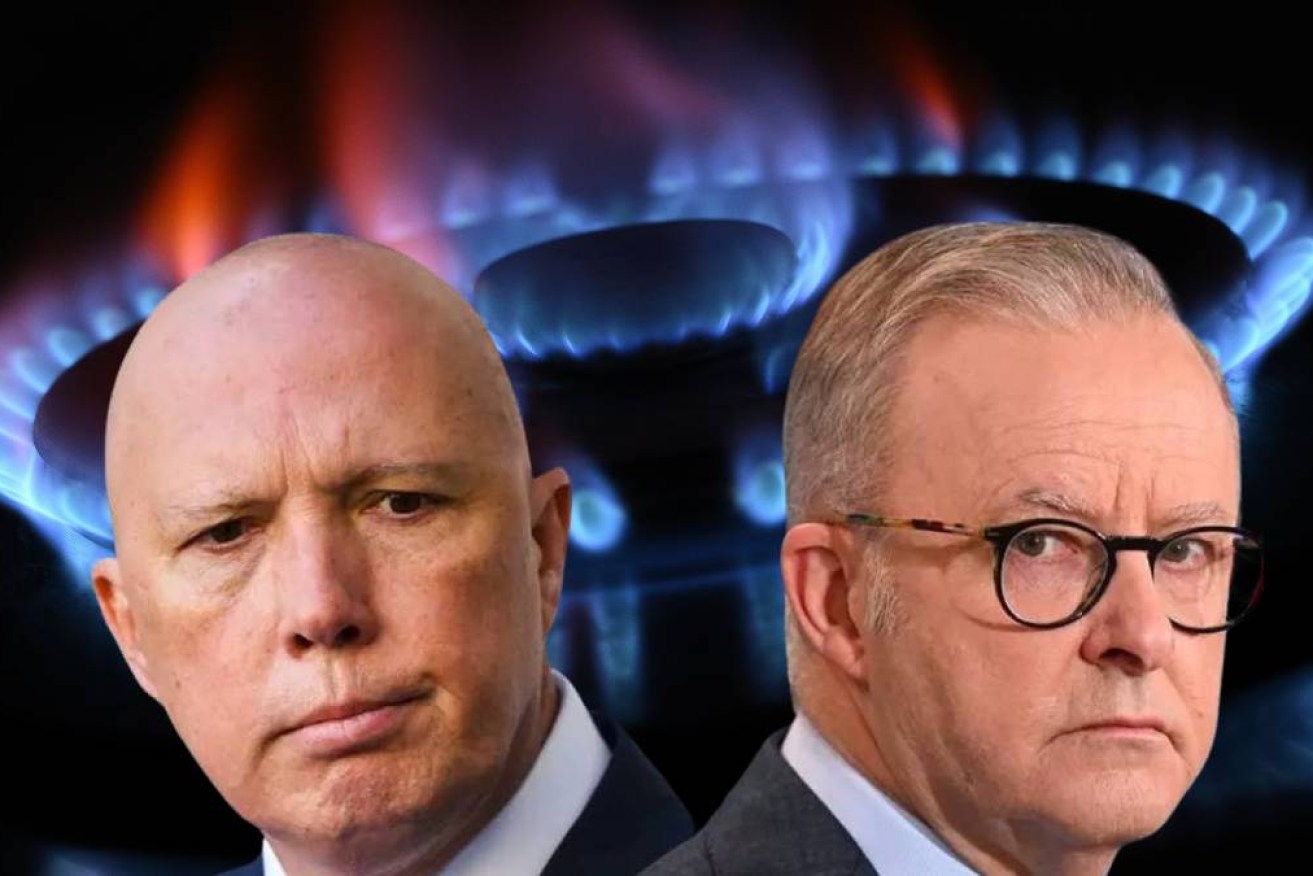 Albanese was seen as supporting energy affordability while Dutton was not