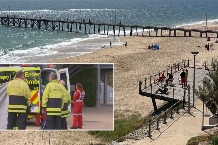 Male swimmer mauled by shark at family beach 