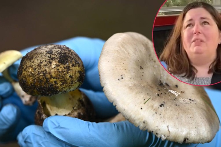 Murder trial told how mushrooms become lethal