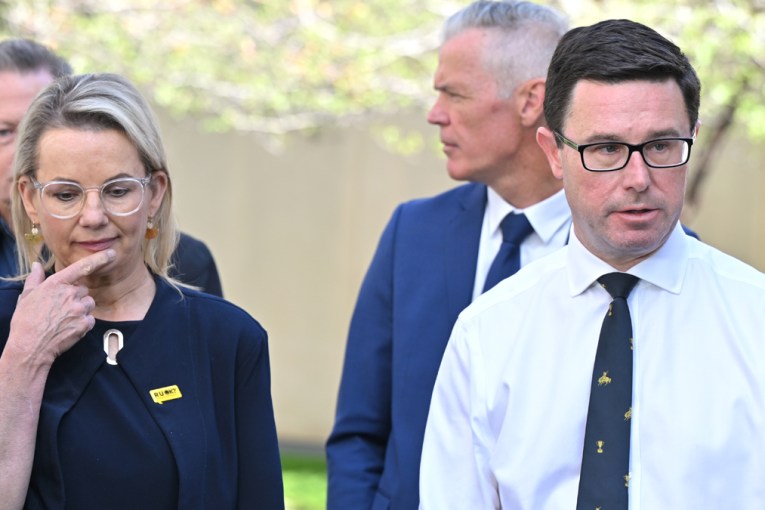 Coalition in net-zero tussle as negotiations heat up