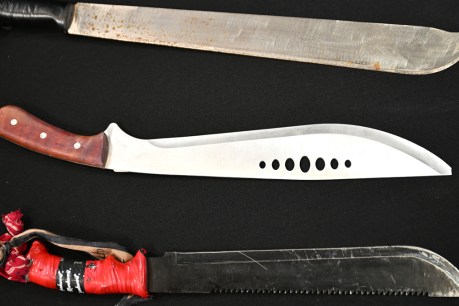 'Brave' woman fends off machete-wielding gang