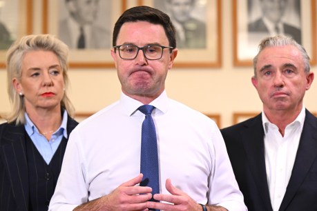 Nats pull plug on Coalition agreement with Libs
