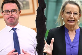 Coalition's predictable split is a poser for Labor