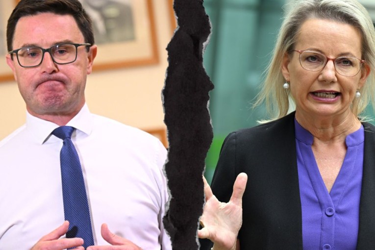 Coalition's predictable split is a poser for Labor