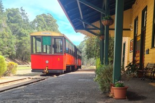 It’s a magical ride aboard the Pemberton Tramway 